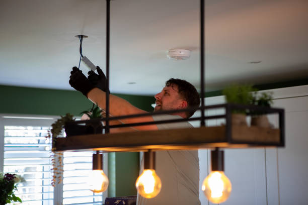 Best Electric Panel Repair  in Timberlake, VA